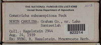 Image Associated With the Occurence